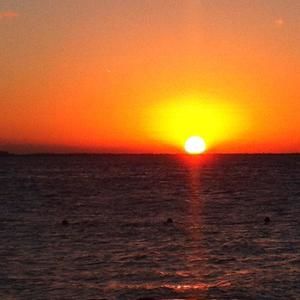 Meet your Posher, Alma